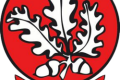 Leadon Timber Senior Hurling semi-finals