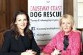 Local animal charity in Stormont meeting