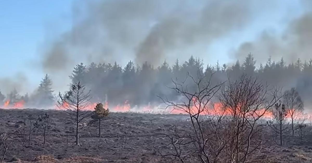 We all have a responsibility to prevent devastating wildfires - Alpha ...