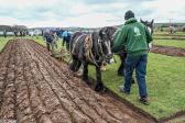 Ballycastle & District Horse Ploughing Society postpone St Patrick&rsquo;s Day match