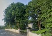 Council orders protection for &lsquo;high value&rsquo; Laurel Hill trees