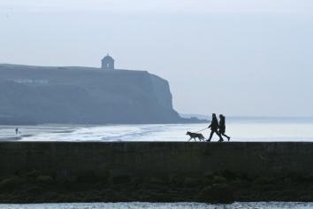 Dog poo enforcers to be deployed within weeks