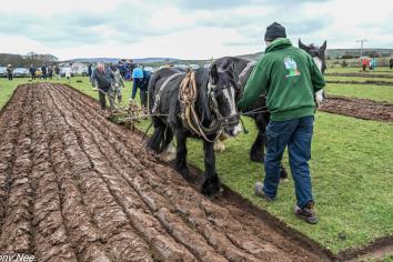 Ballycastle & District Horse Ploughing Society postpone St Patrick&rsquo;s Day match
