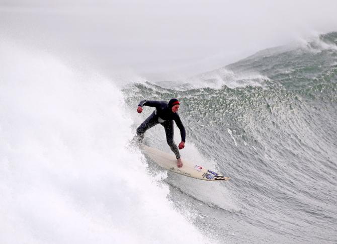 Conservation body recruiting surfers to survey marine wildlife