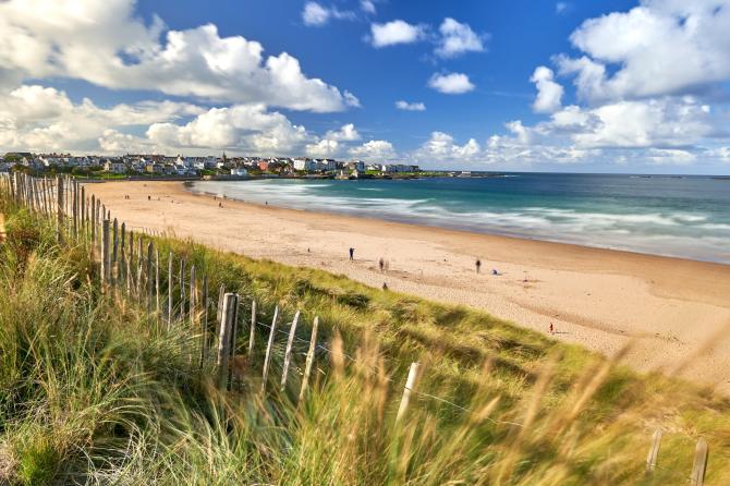 Portrush beaches red-flagged after toxic algae appearance 
