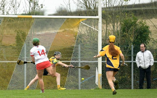  Strong second half sees the Shamrocks advance