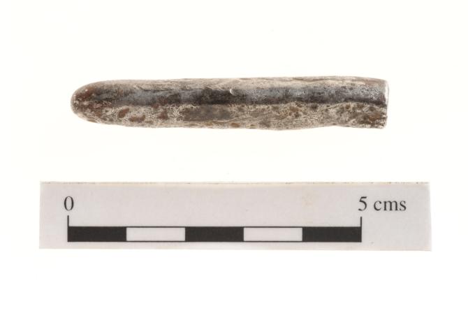 Viking-age silver ingots found by metal detectorist on North Coast farmland