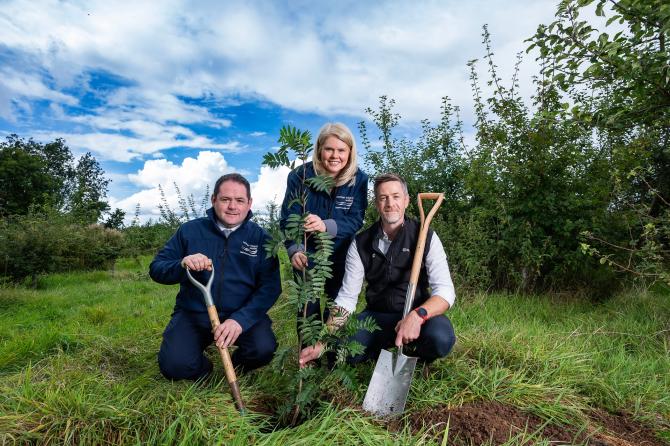 Major tree planting initiative thriving 