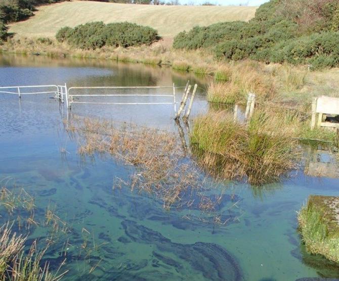 Is our tap water safe to drink?