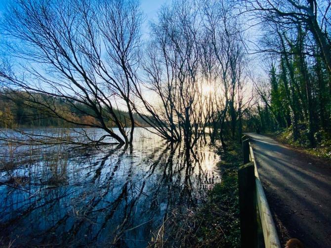 Water Safety Ireland urges caution around water 