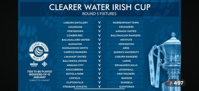 Coleraine home to Crusaders in the fifth round of Irish Cup