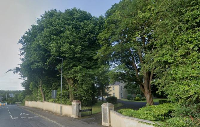 Council orders protection for &lsquo;high value&rsquo; Laurel Hill trees